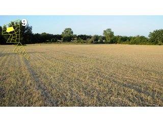 Property photo 44 - Mickle's Valley View Ranch and Canyon West Golf Club 506+/- Acres Offered in 27 Tracts in Weatherford, TX
